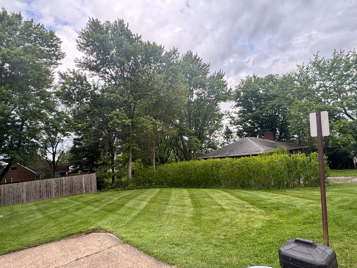 Lawn Care for Cam Yardz in Washington, PA