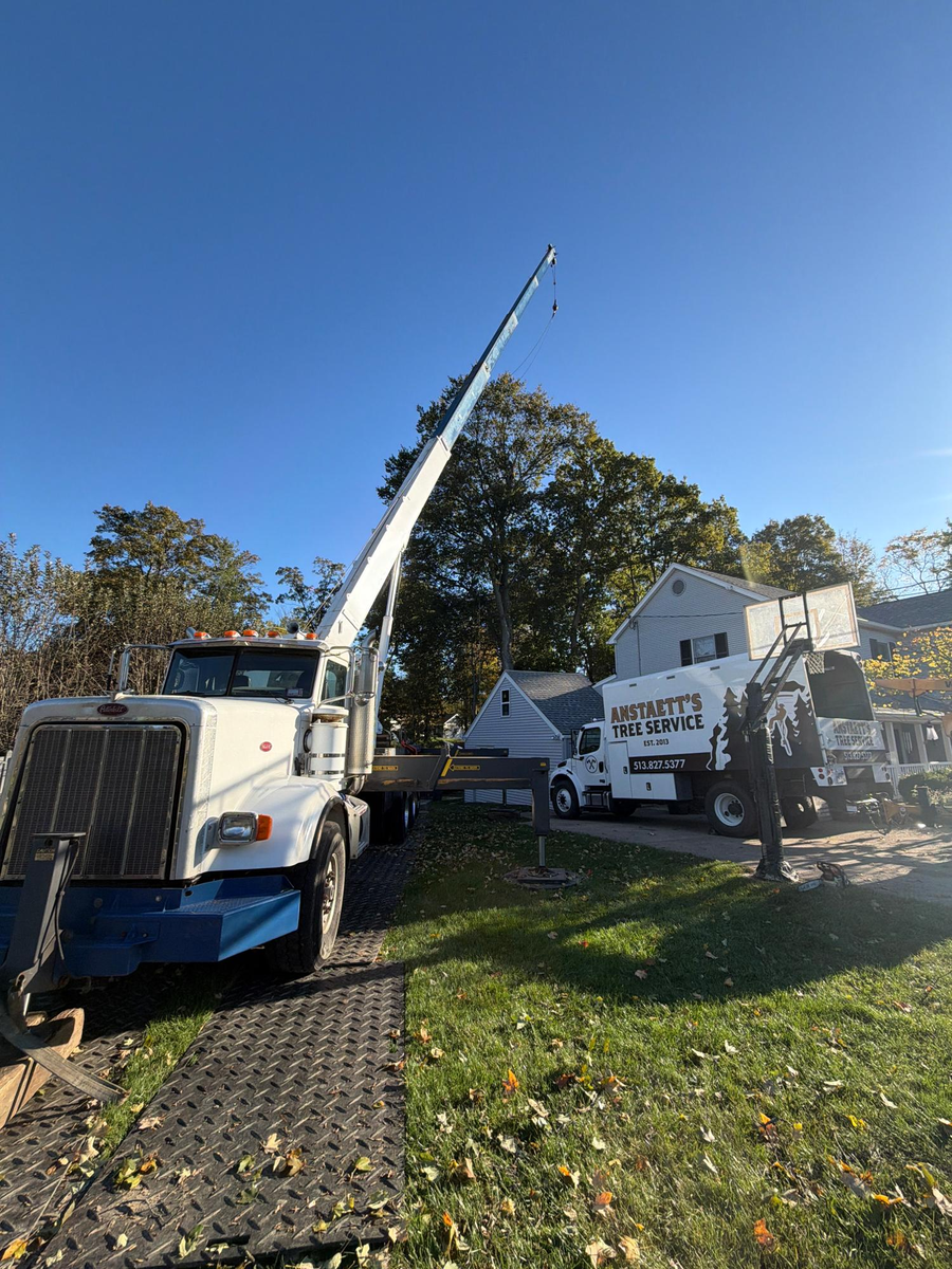 Tree Trimming for Anstaetts Tree Service in Batavia, OH