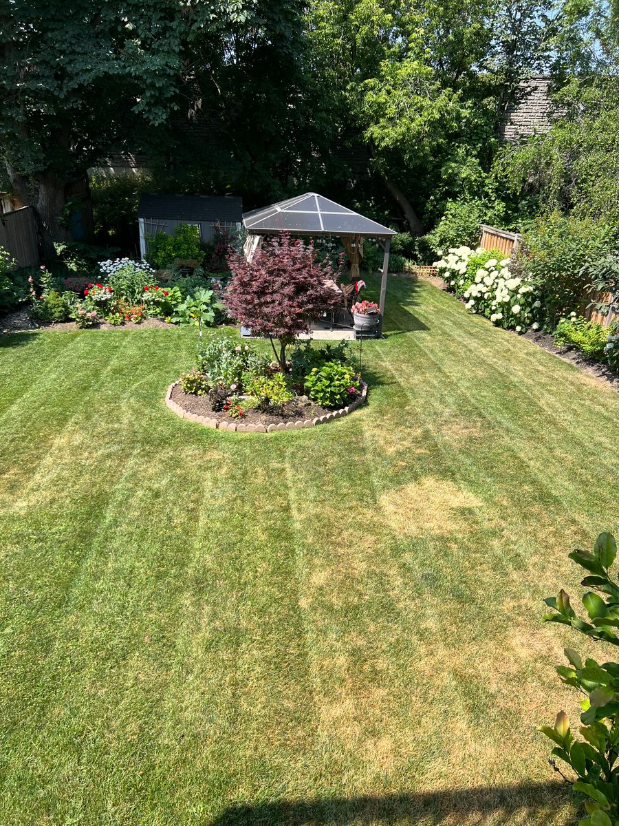 Lawn Care for CMN Exterior Maintenance in Hamilton, ON