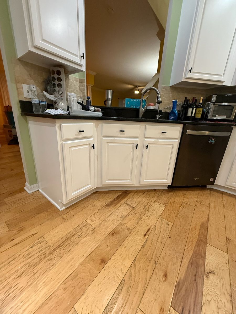 Kitchen and Cabinet Refinishing for Escorpio Painting in Tampa, FL