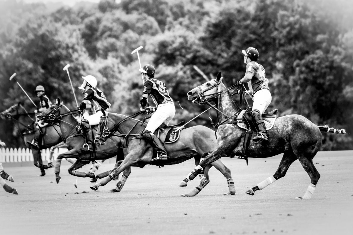 Polo for Donohue Studios in Midway , KY