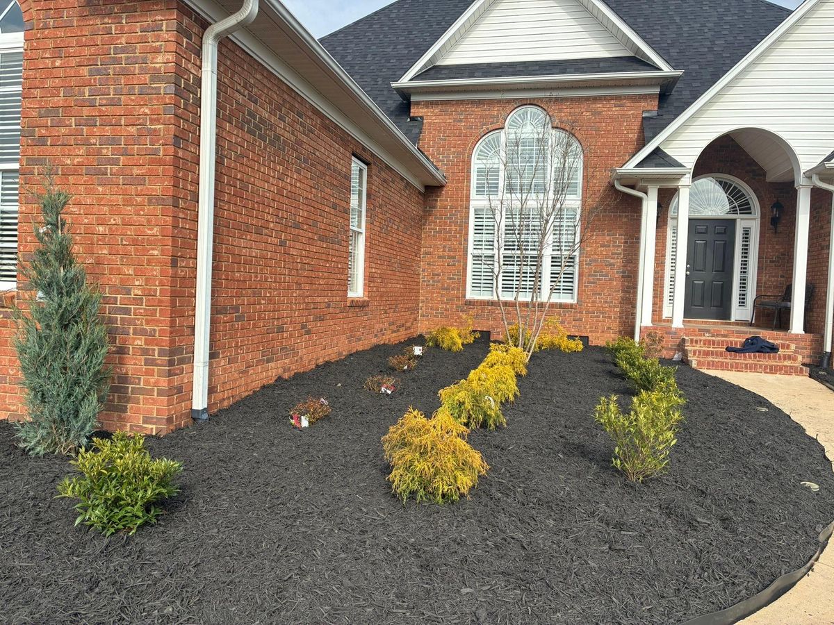 Tree & Shrub Care for Palmetto State Landscaping in Gaffney, SC