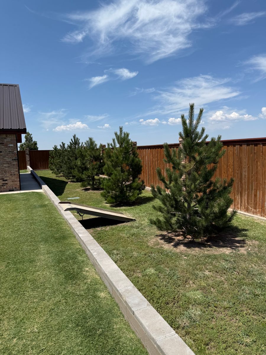 Tree Installations for R&J Hydromulch in Booker, TX