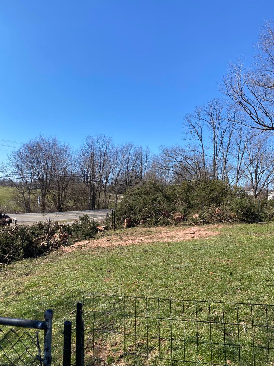 Stump Removal for Houtz Tree Service in Lexington, KY