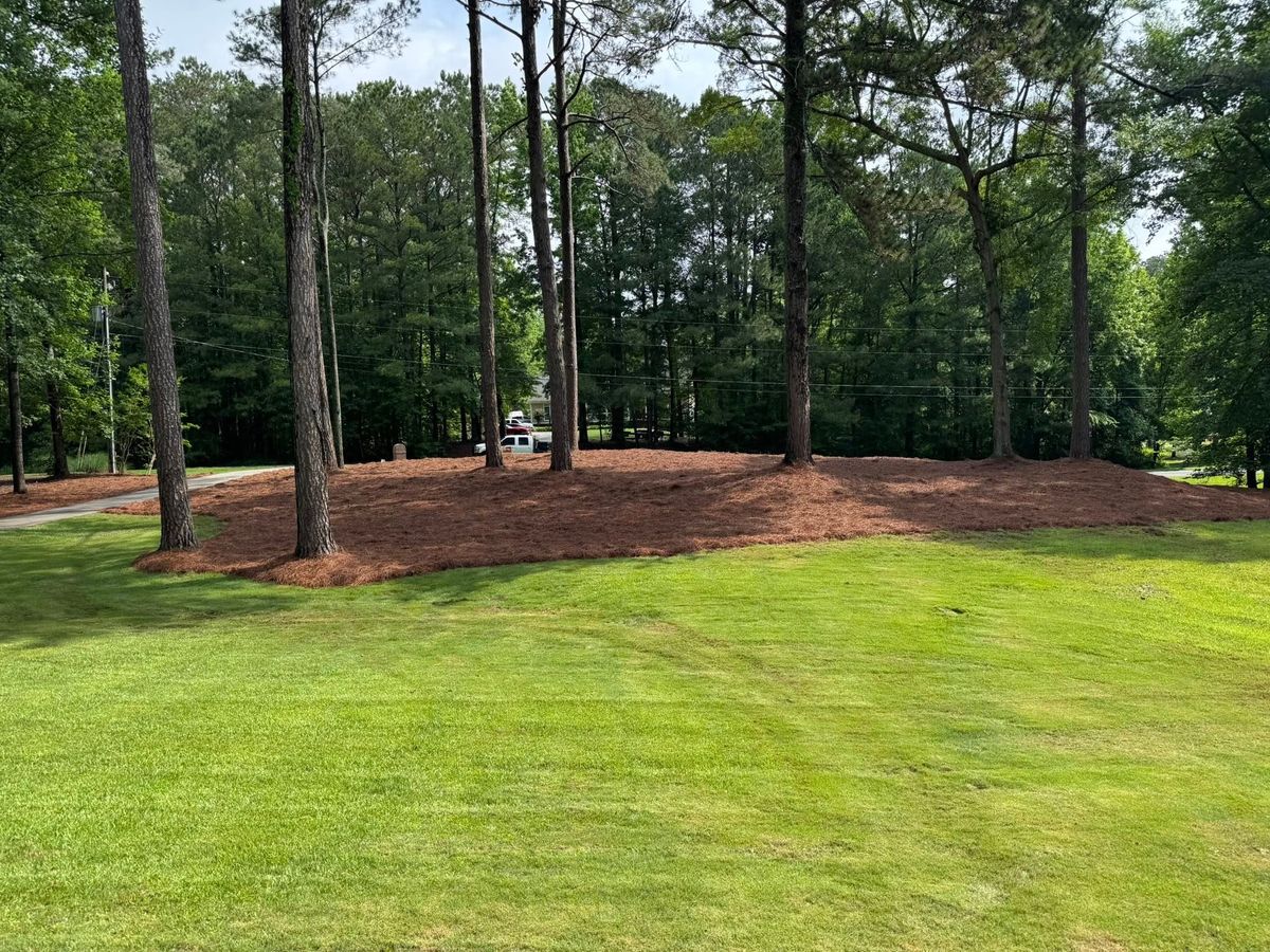 Landscape Design for Tri-P Services in Athens, GA