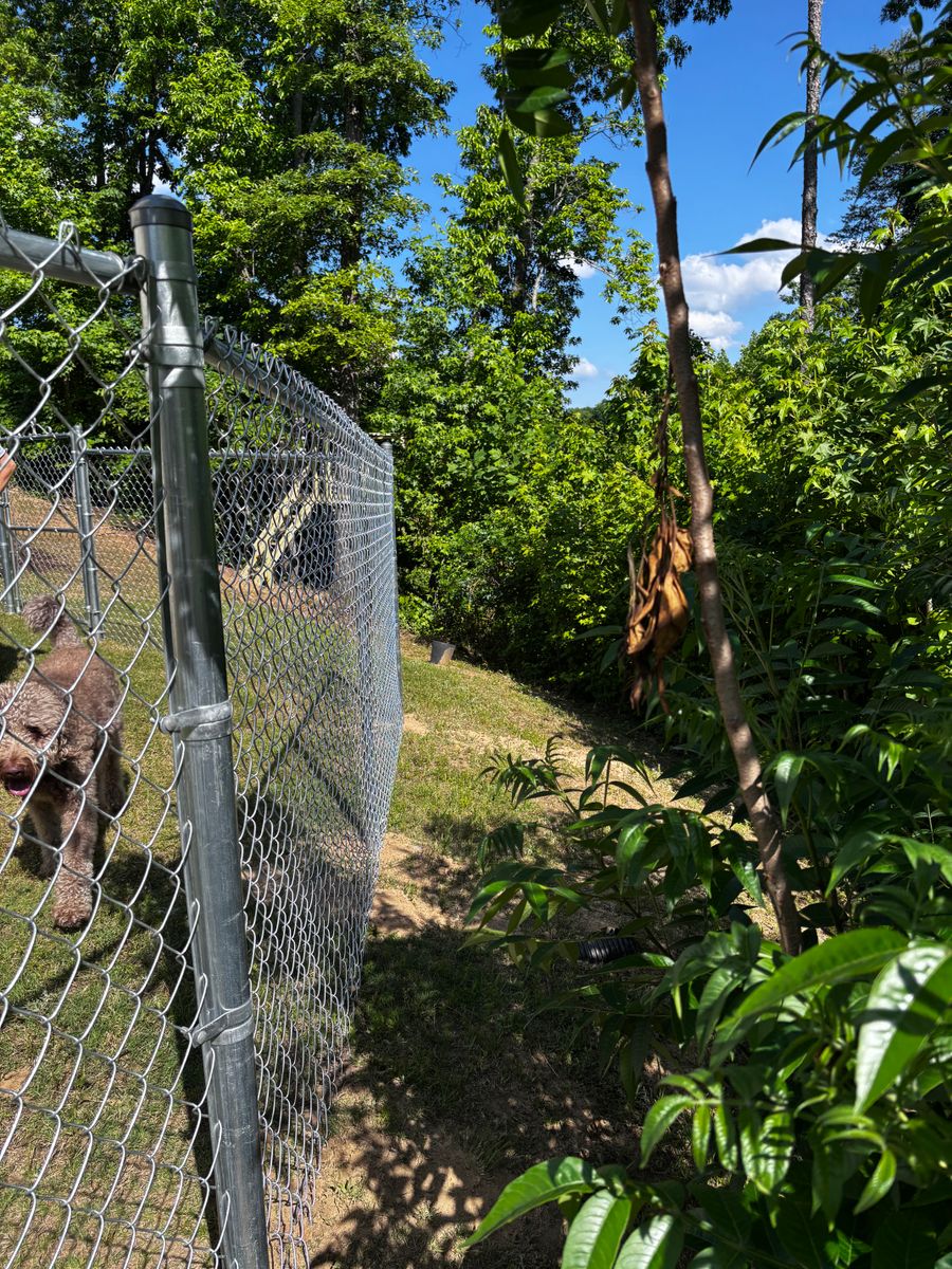 Chainlink Fences for Alpine Fence in Dahlonega, GA