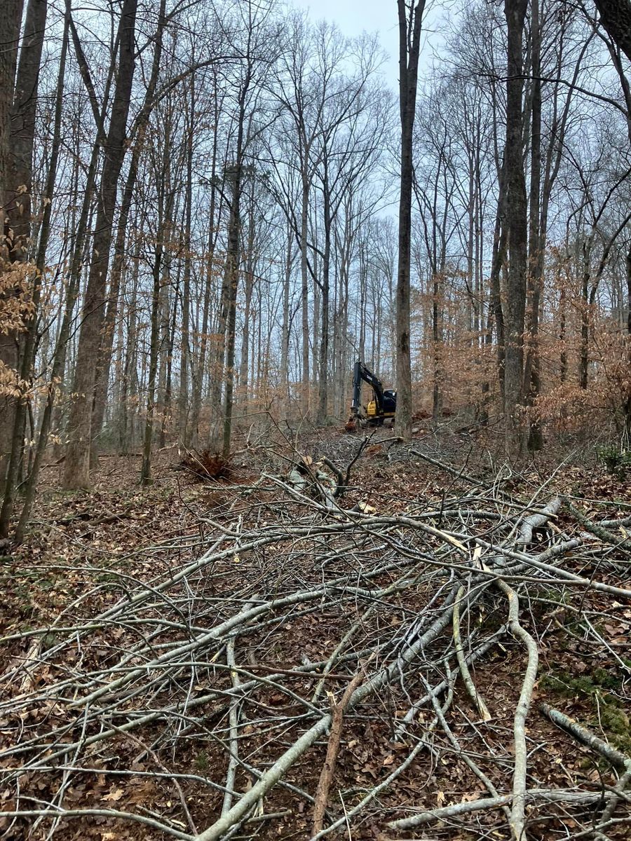 Land Clearing & Grading for Triple P Excavation in Atlanta, GA