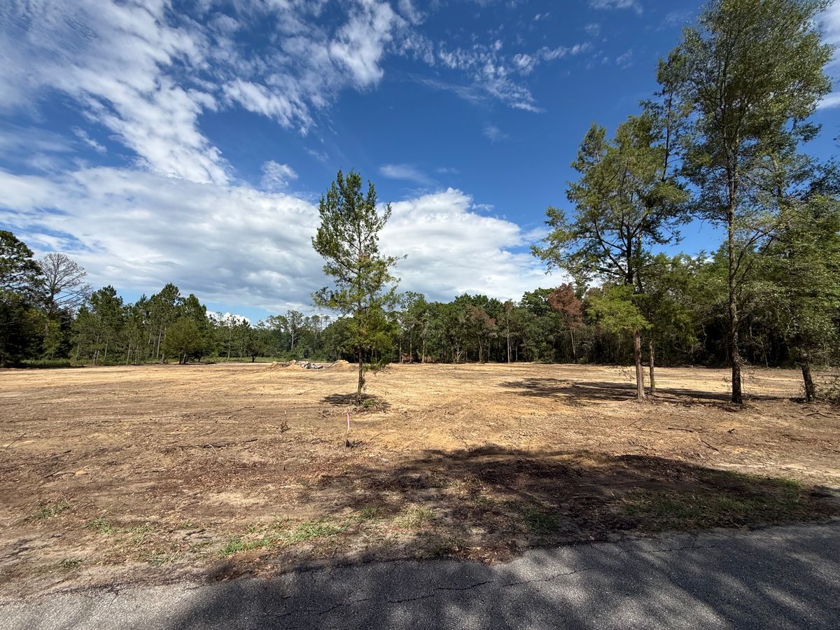 Land Clearing for J & E Land Clearing, LLC. in Dunnellon, FL