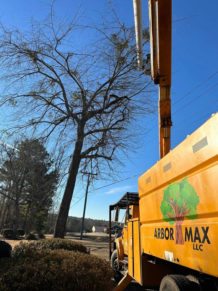 Tree Trimming for ArborMax in Thomaston, GA