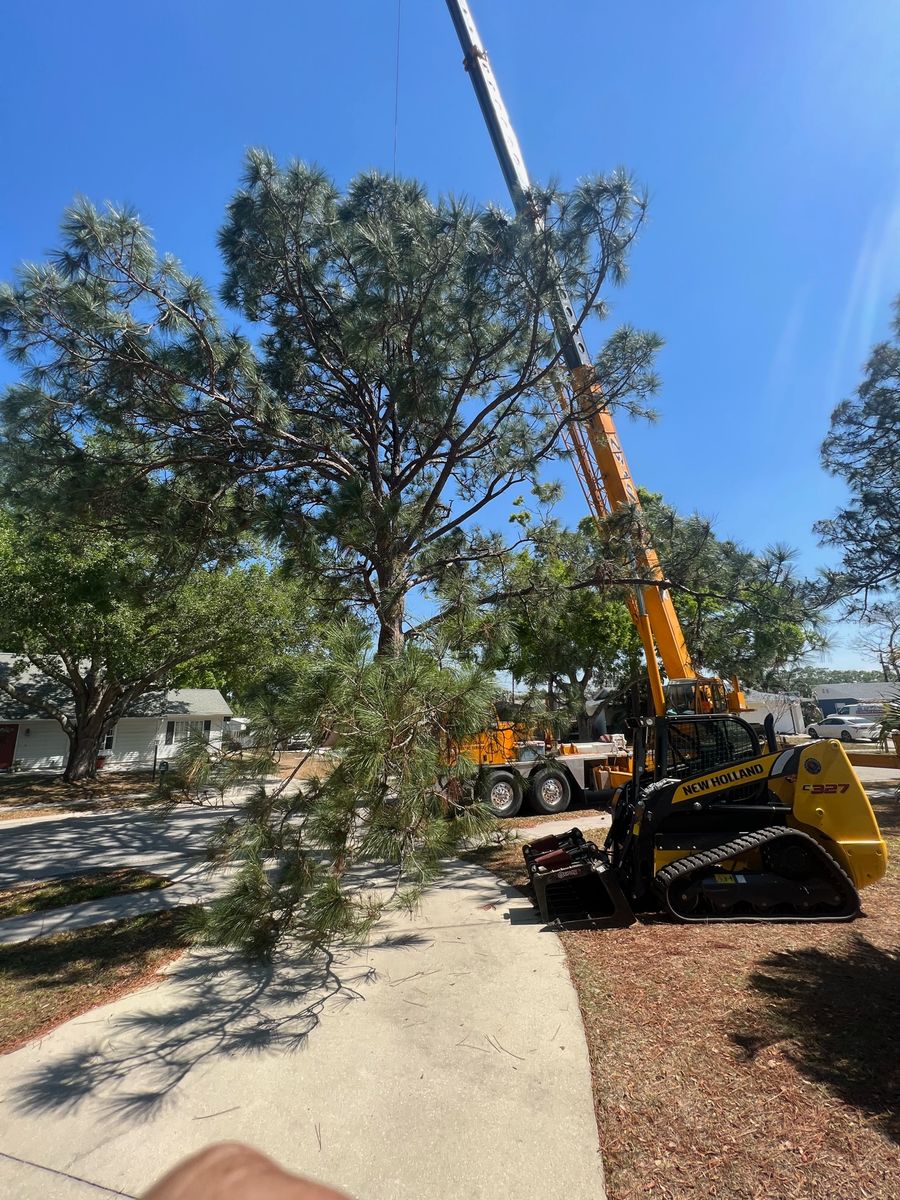Crane Removals for Adam's Tree and Stump Care in Sarasota, FL