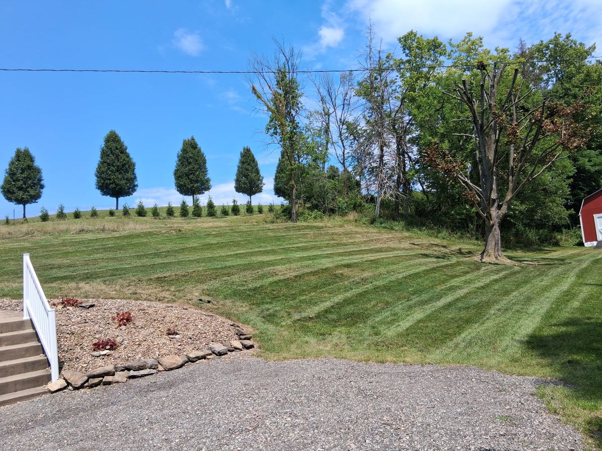 Tree Trimming for Cam Yardz in Washington, PA