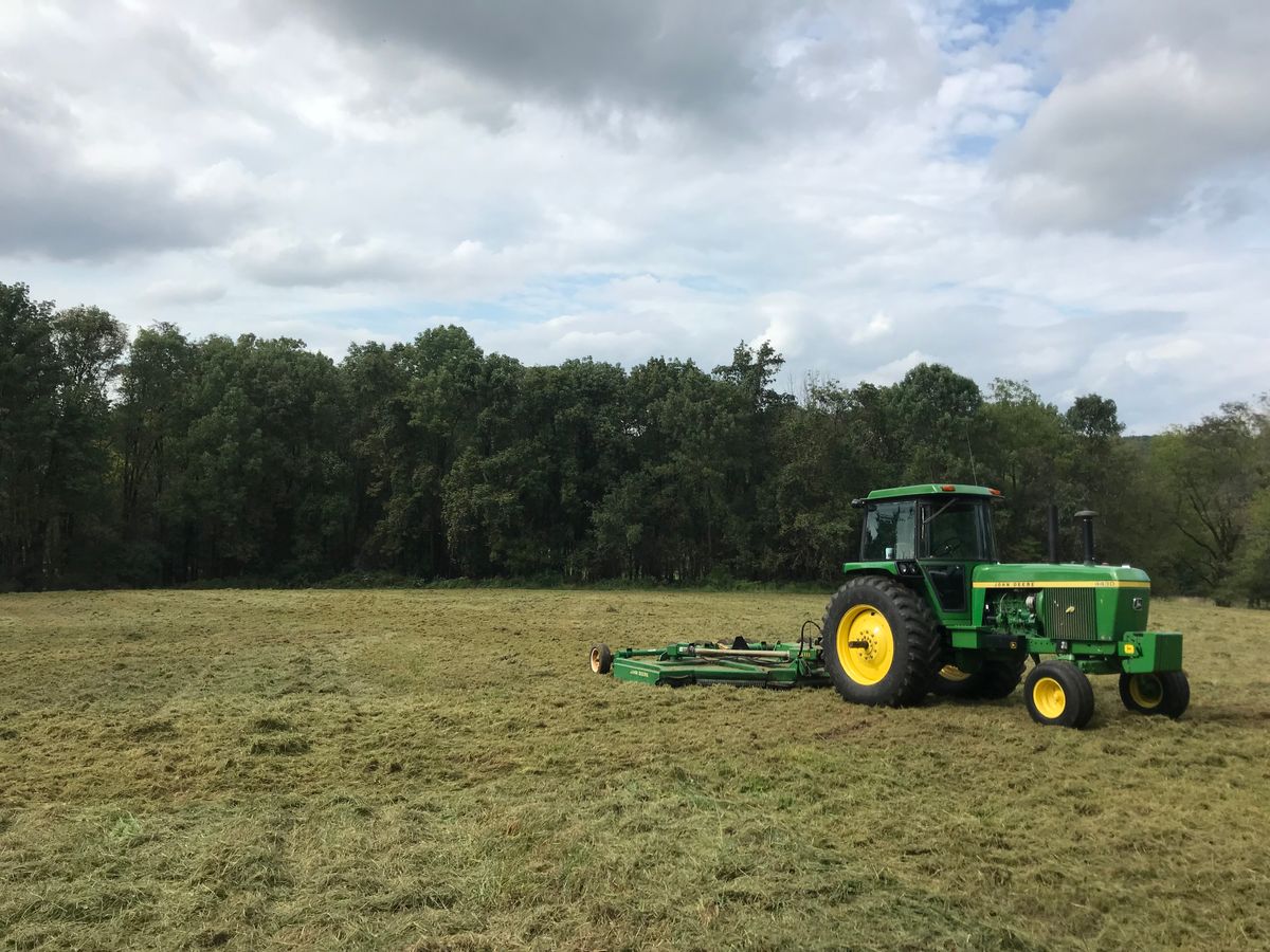 Brush Mowing for G1 Excavation LLC in Titusville, NJ