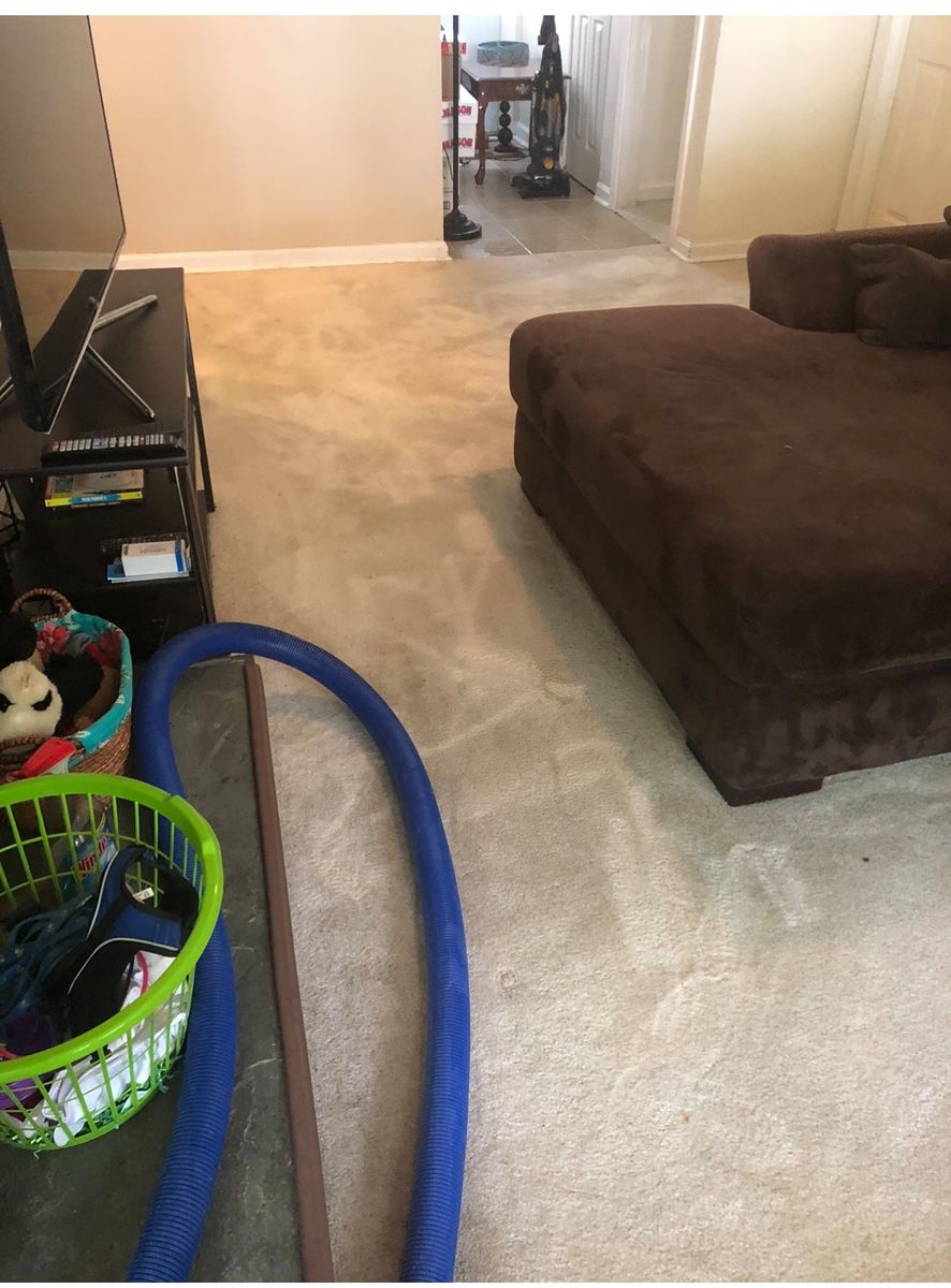 Deep Carpet Cleaning for Banderas Cleaning Service in Elsmere, DE