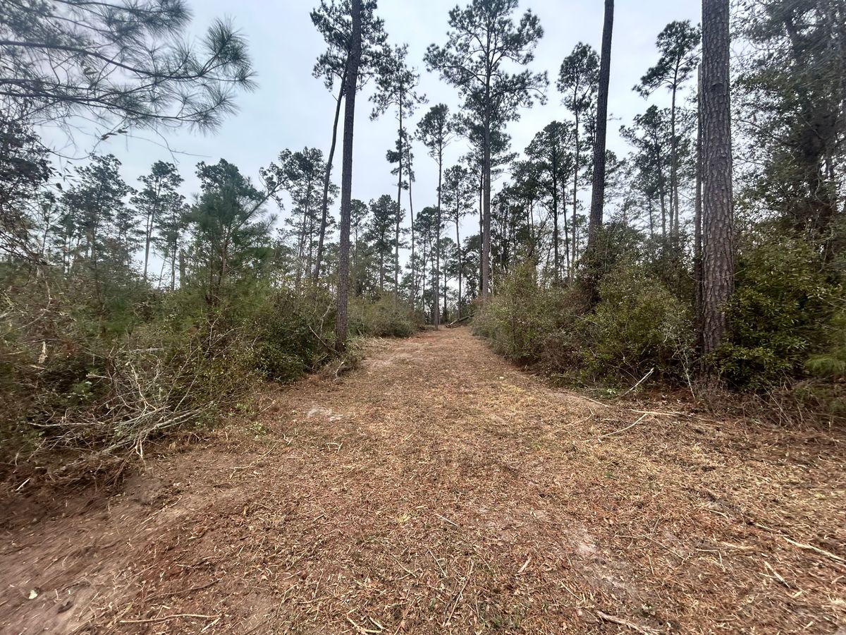 Mulching for Southeast Aquatic Land Services LLC  in Waycross, GA