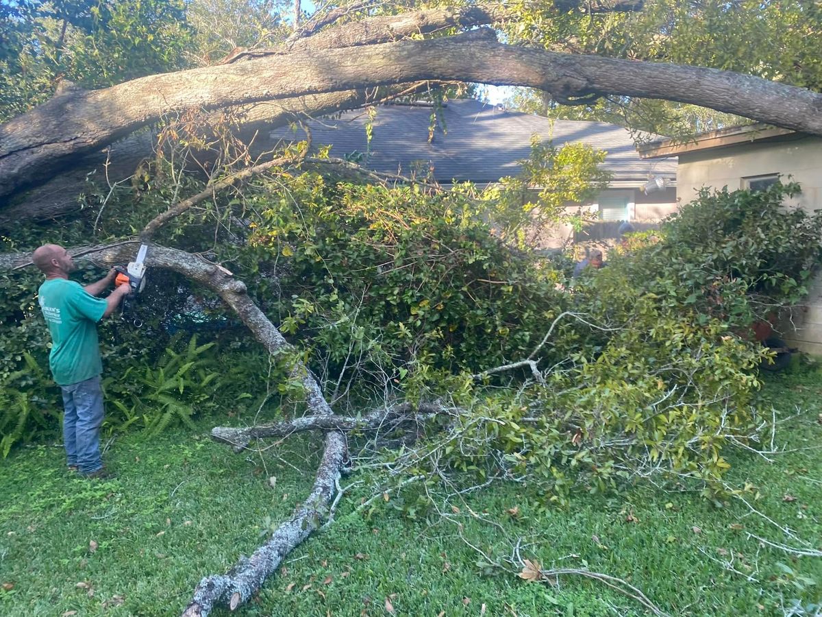 Tree Removal for Fast Cut Tree Service in Jacksonville Heights, FL