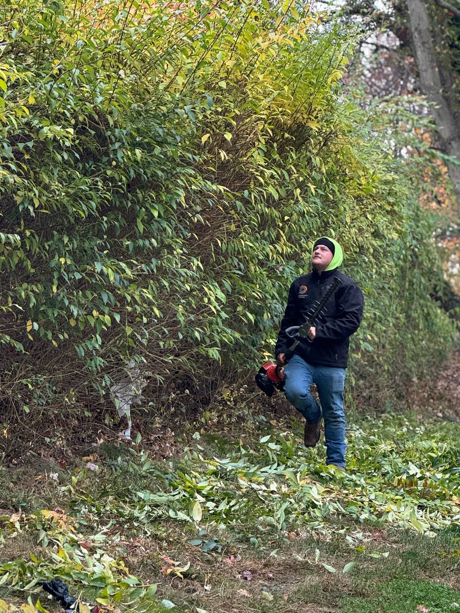 Shrub & Tree Care for Ace Landscaping in Trumbull, CT