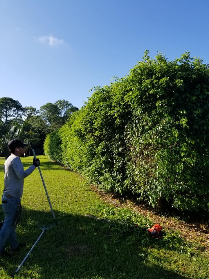 Shrub Trimming for Natural View Landscape, Inc.  in Loxahatchee, FL