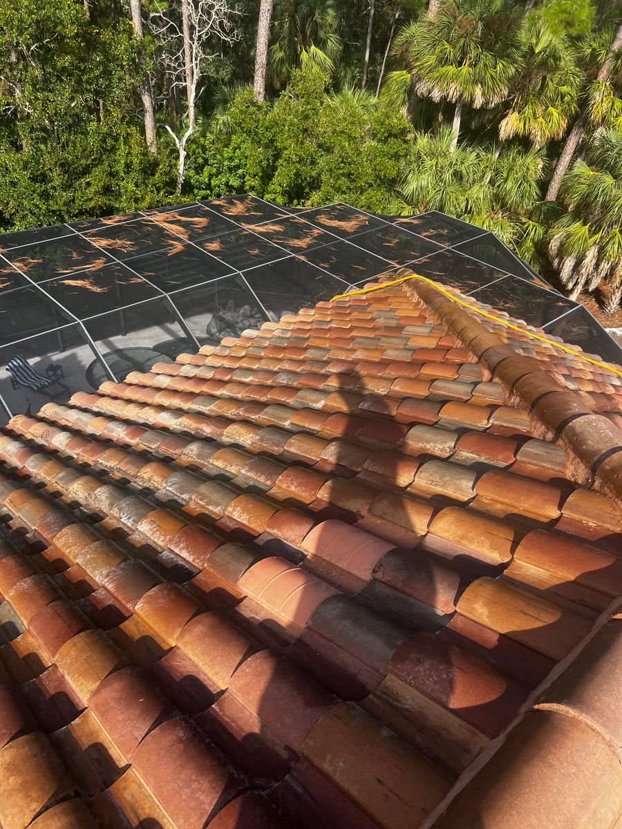 Exterior Cleaning for Barr None Wash Pro in Tampa, FL