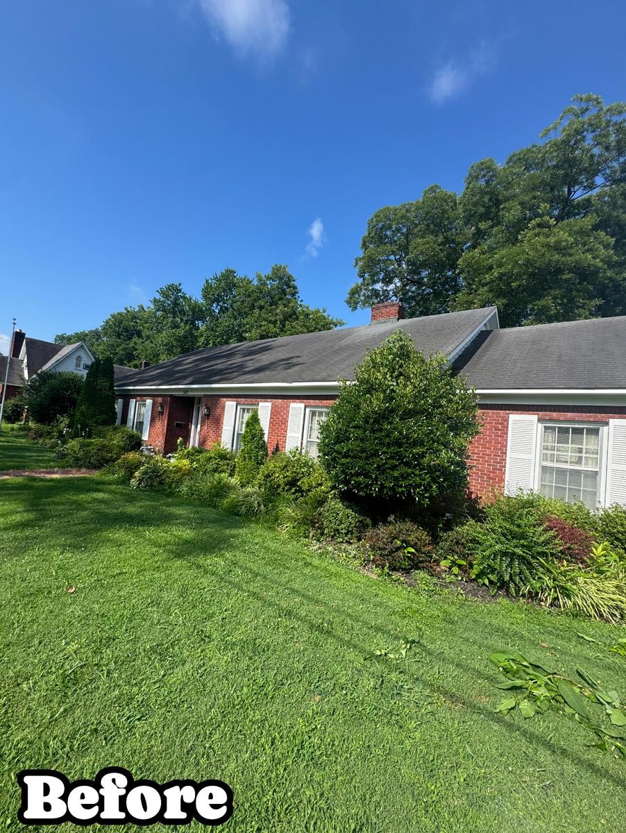Shrub Trimming for Kelso's Lawn Maintenance in Jackson, TN
