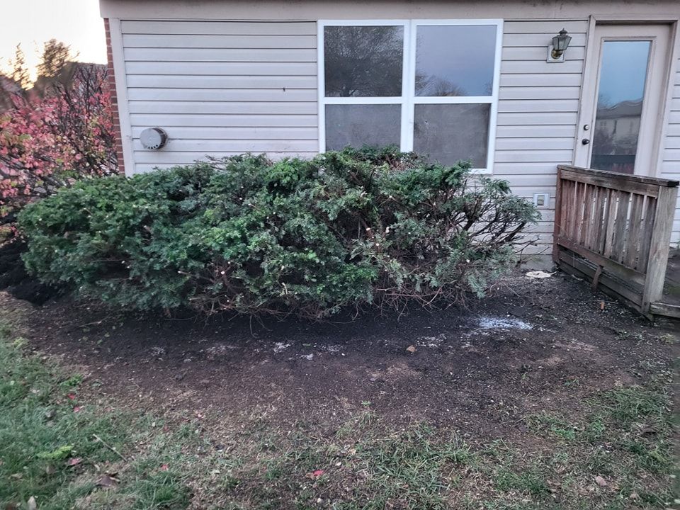 Fall Clean Up for Ryt's Landscaping LLC in Cincinnati, OH