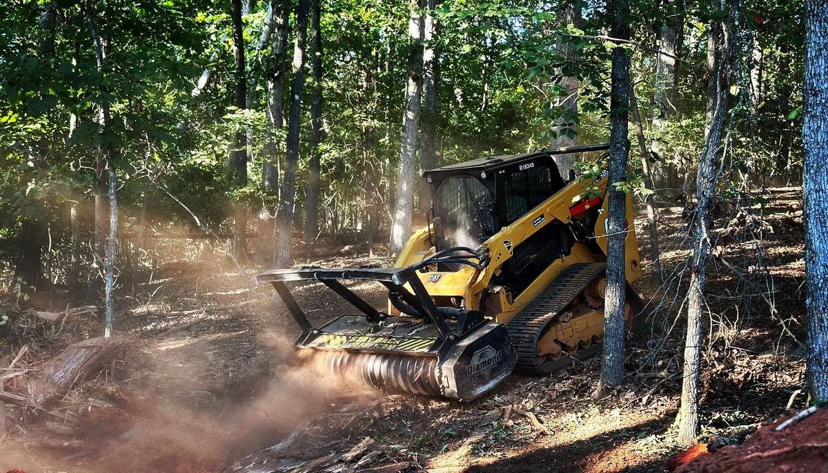 Stump Grinding for Willing Trucking & Excavating in Evansville, WI