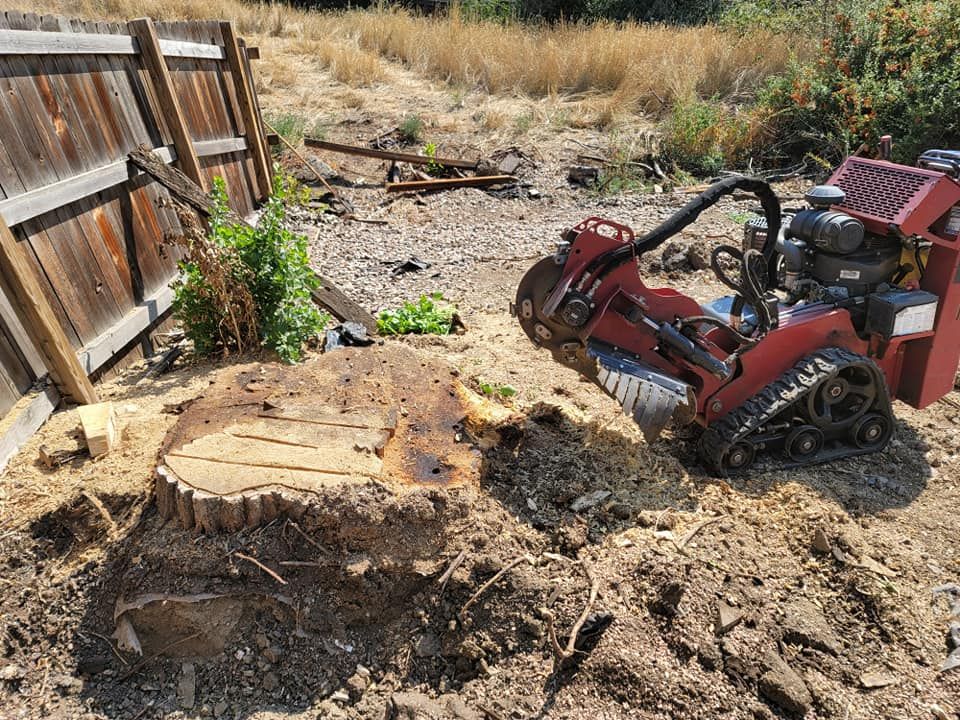 Stump Removal for Sloan Tree Service in Aurora, CO