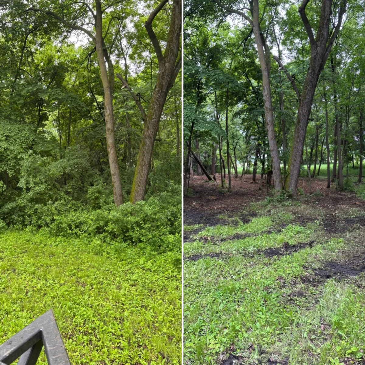 Fence Line Clearing for Root Land Management in Watkins, MN