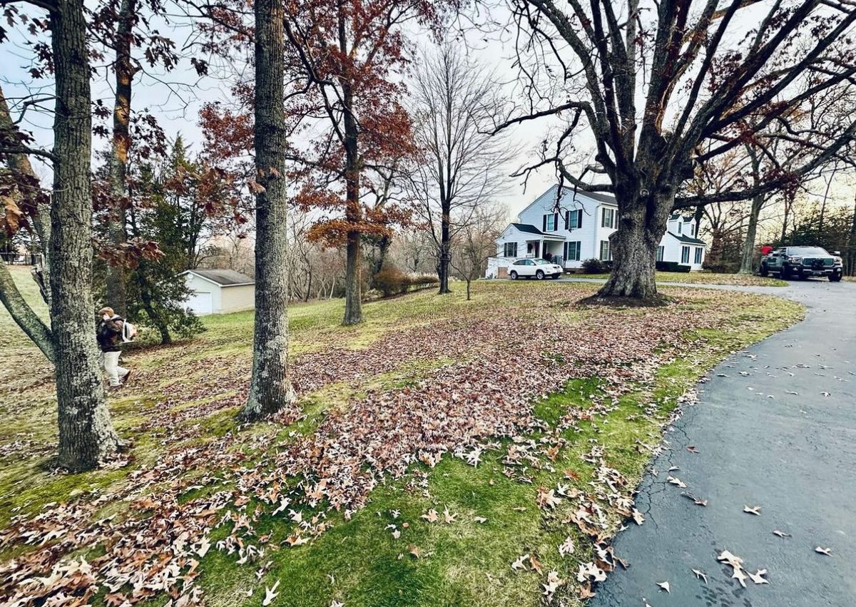 Leaf Removal for Nate's Property Maintenance LLC  in Lusby, MD