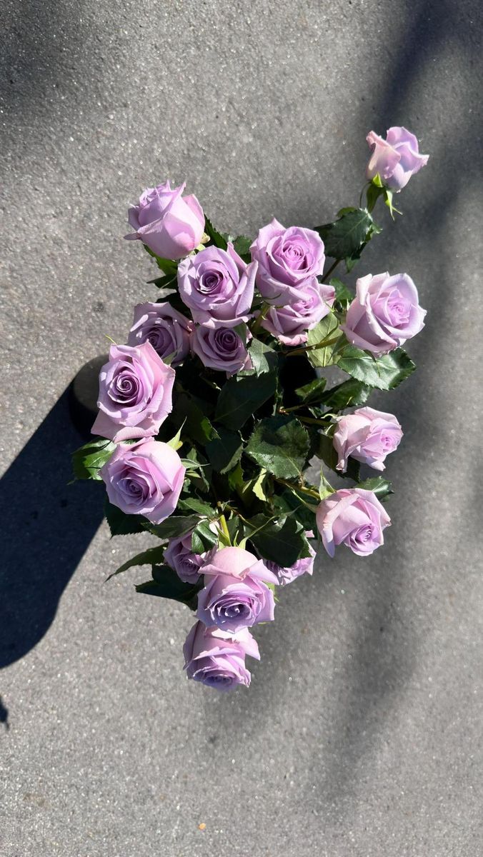 Medium Hand-tied Bouquet for The Dailey Daisy in Hardwick, VT