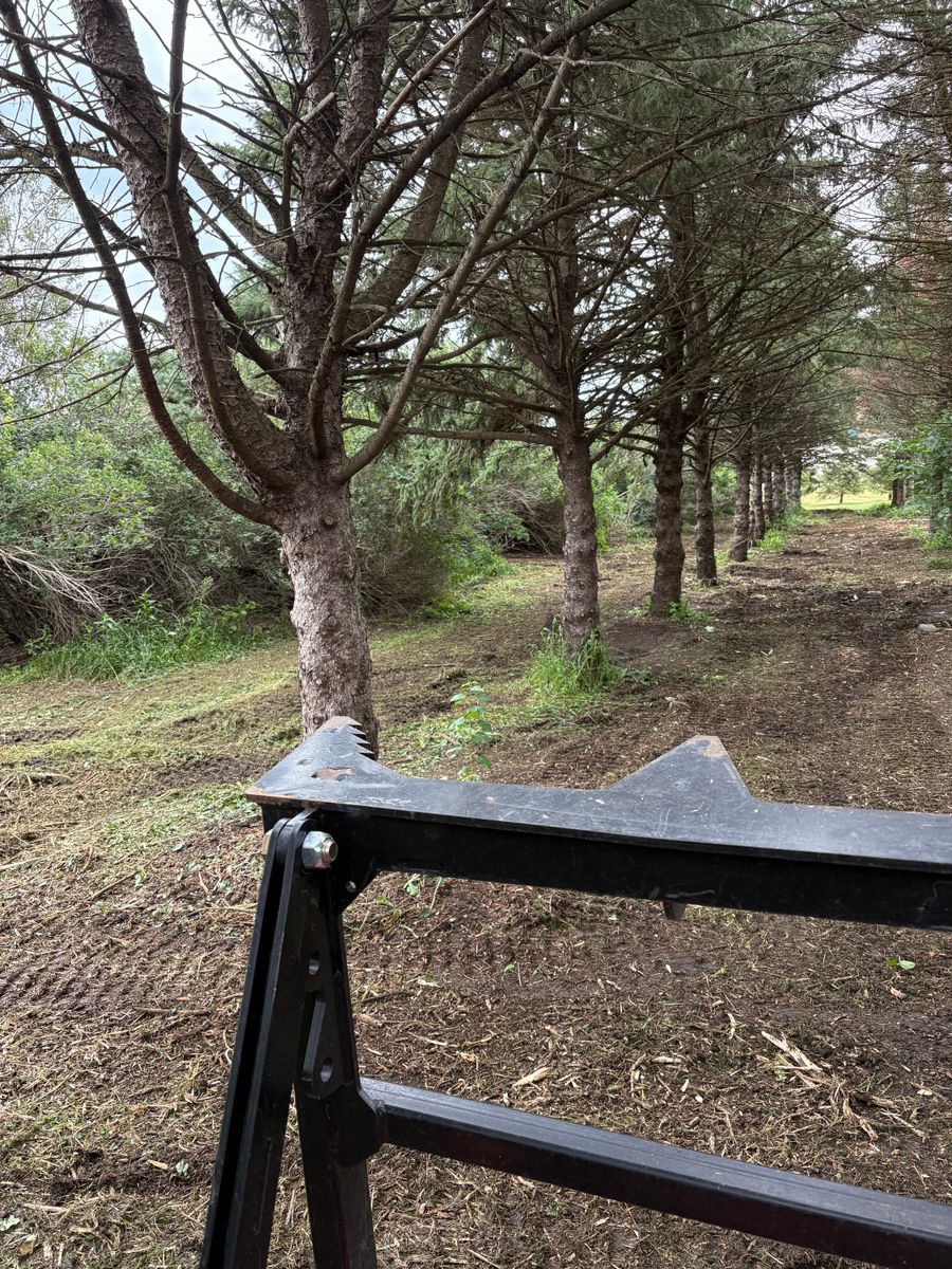 Land maintenance and brush control for Legge Farms and Drainage in Garner, IA