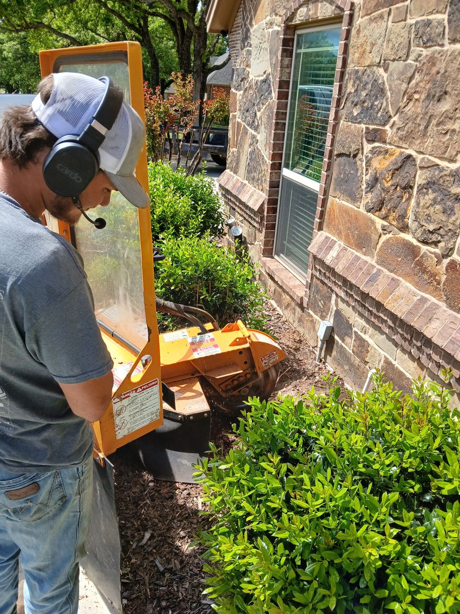 Stump Removal for Marks Tree Service in Fort Worth, TX