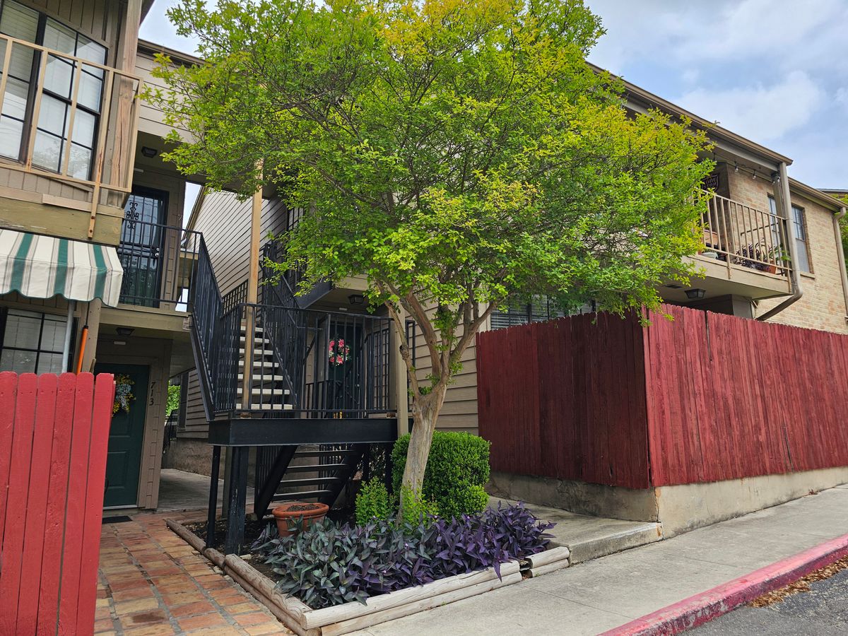 Tree Trimming for Miller Mowing and Maintenance in San Antonio, TX