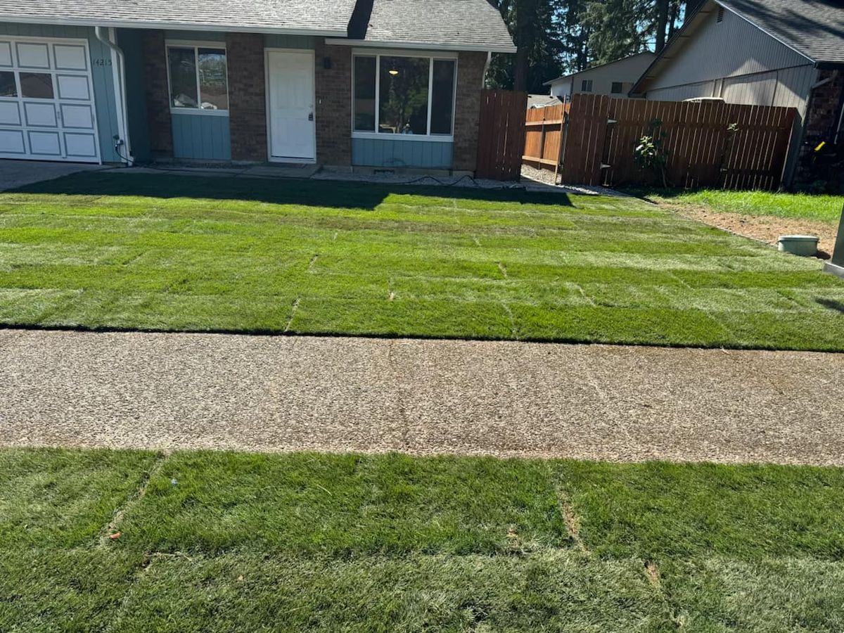 Lawn Aeration for Churape And Son's Landscaping in Vancouver, WA