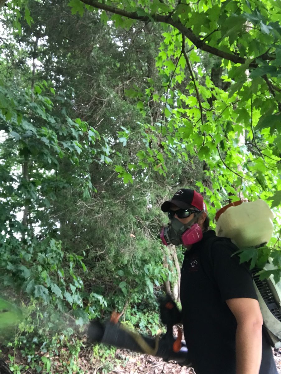 Mosquito Control for All-In Pest Control & Home Solutions in Greene County, IN