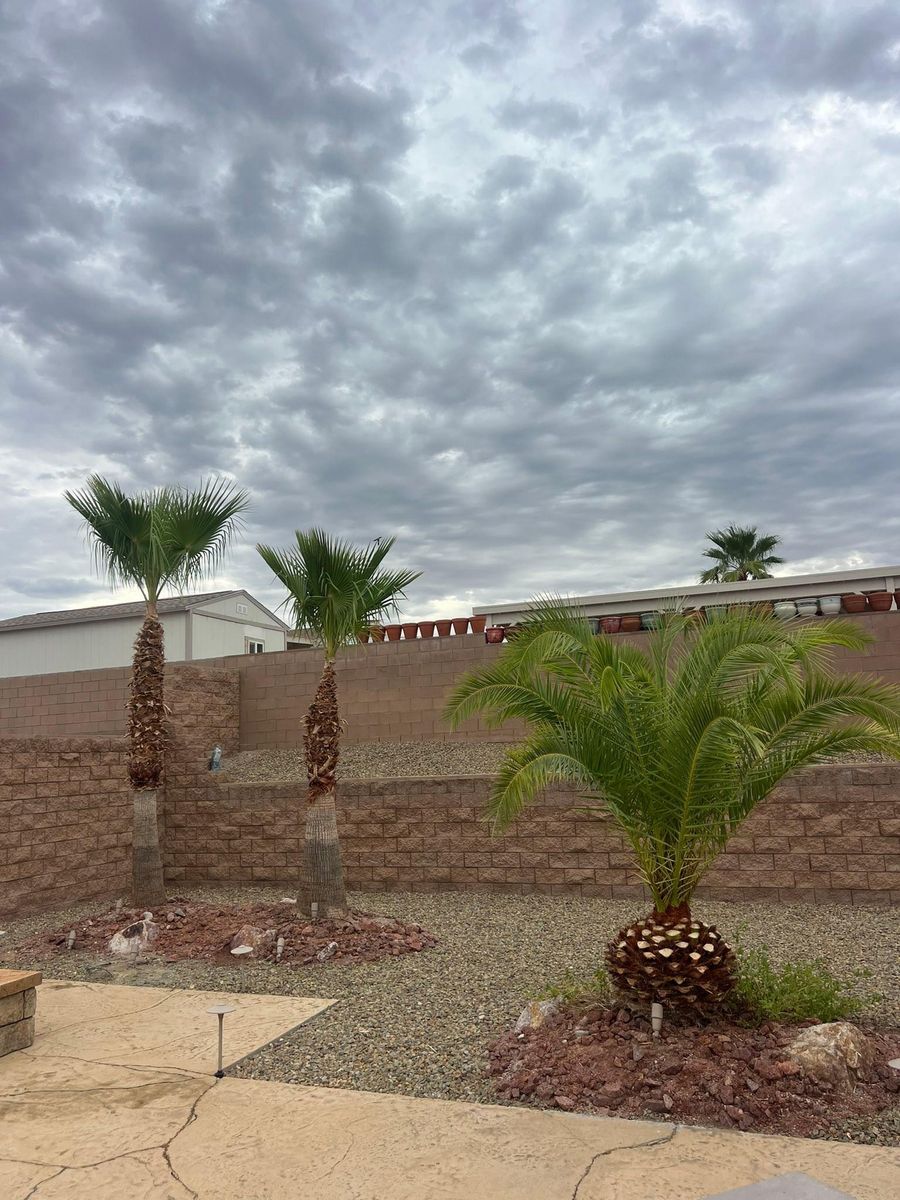 Hardscaping for Top Notch Landscape Services LLC in Mohave Valley, AZ