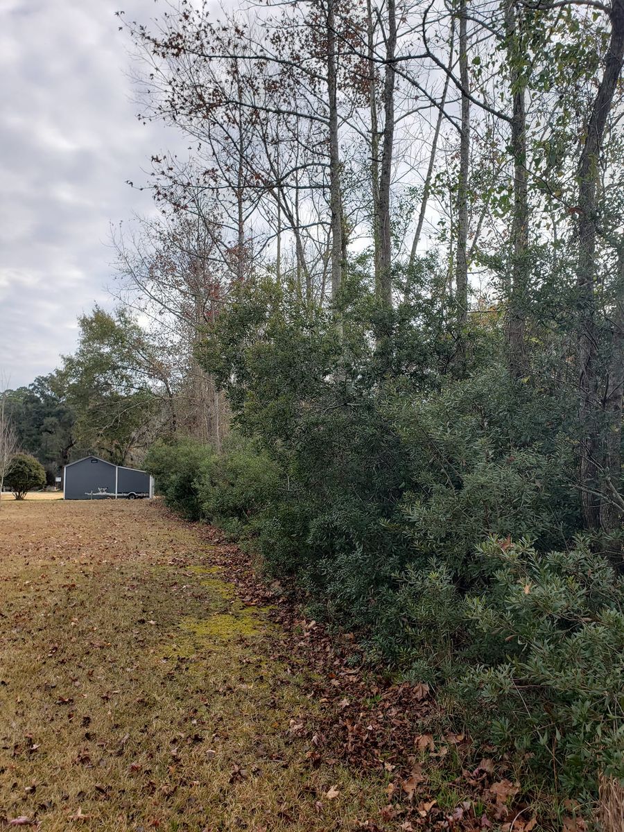 Forestry Mulching for TJ Farm and Land Management in Loris, SC