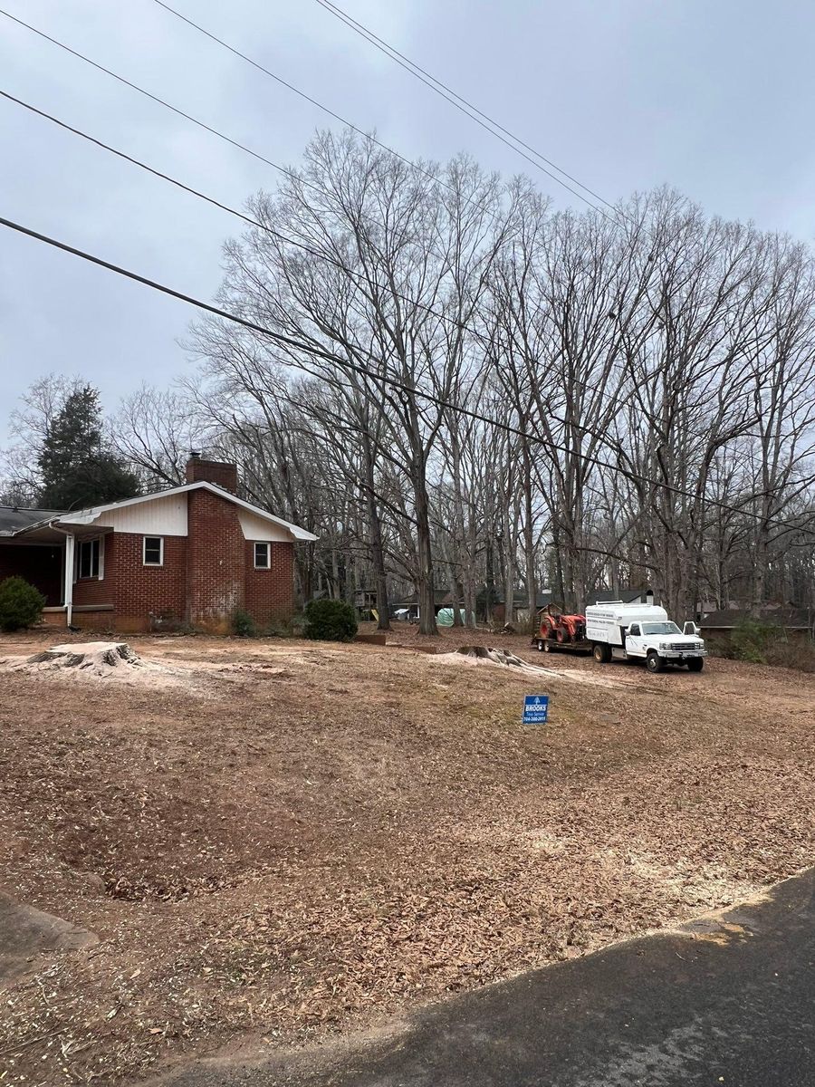 Tree Removal for Brooks Tree Service in Casar, NC