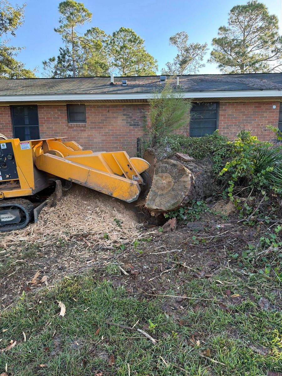 Stump Excavation for Dozier Stump Grinding in Augusta, GA