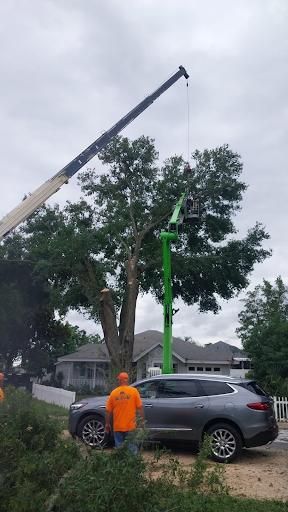 Tree Removal for Daniel Hickey’s Tree Service in DeLand, FL