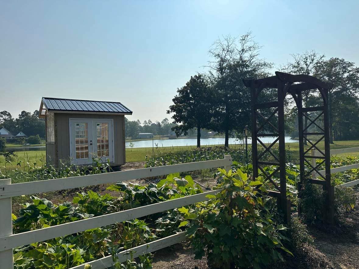  Custome Garden Shed for Mustard Seed Mansions  in Georgia, GA