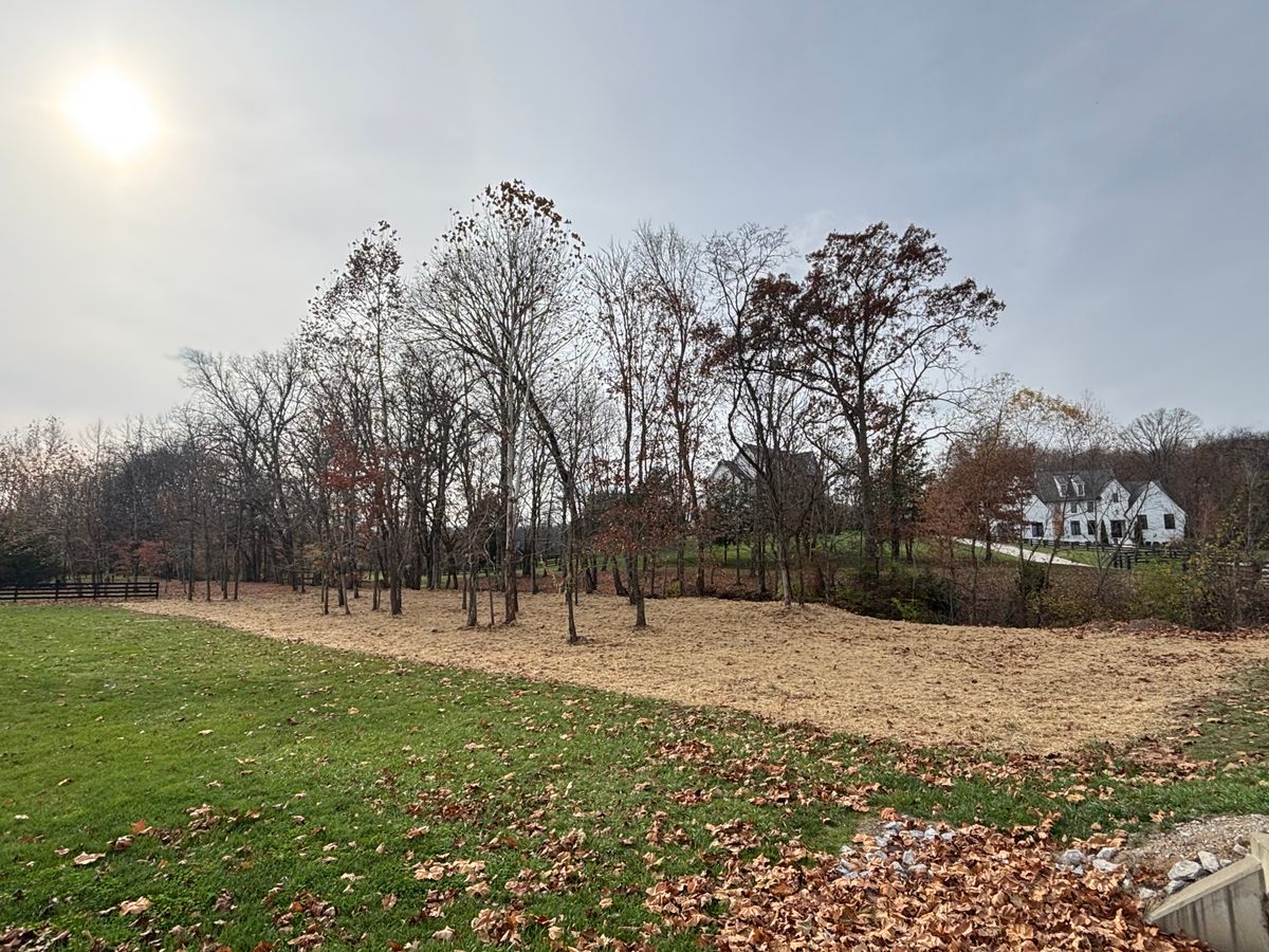Land Clearing for TriStar Land Clearing & Mulching in Franklin, TN