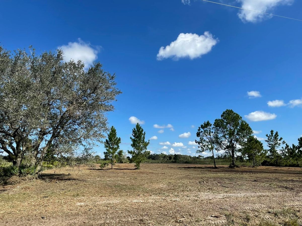 Land Clearing for Dynamik Land Services LLC in Okeechobee, FL