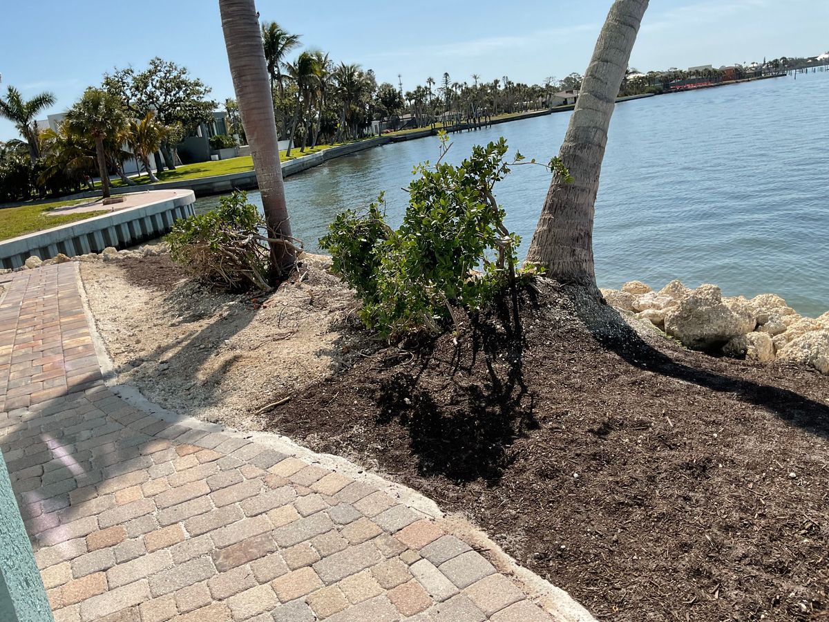 Landscape Installation for DelliQuadri Landscapes LLC in North Port, FL