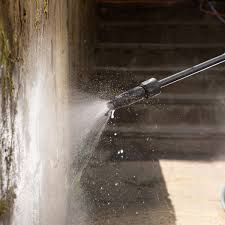 Home Softwash for Project Masters Group in Tampa, FL