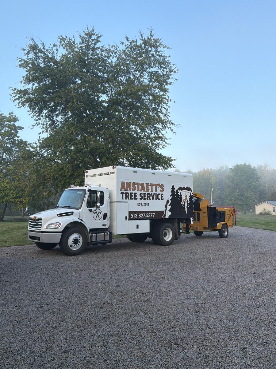 Tree Removal for Anstaetts Tree Service in Batavia, OH