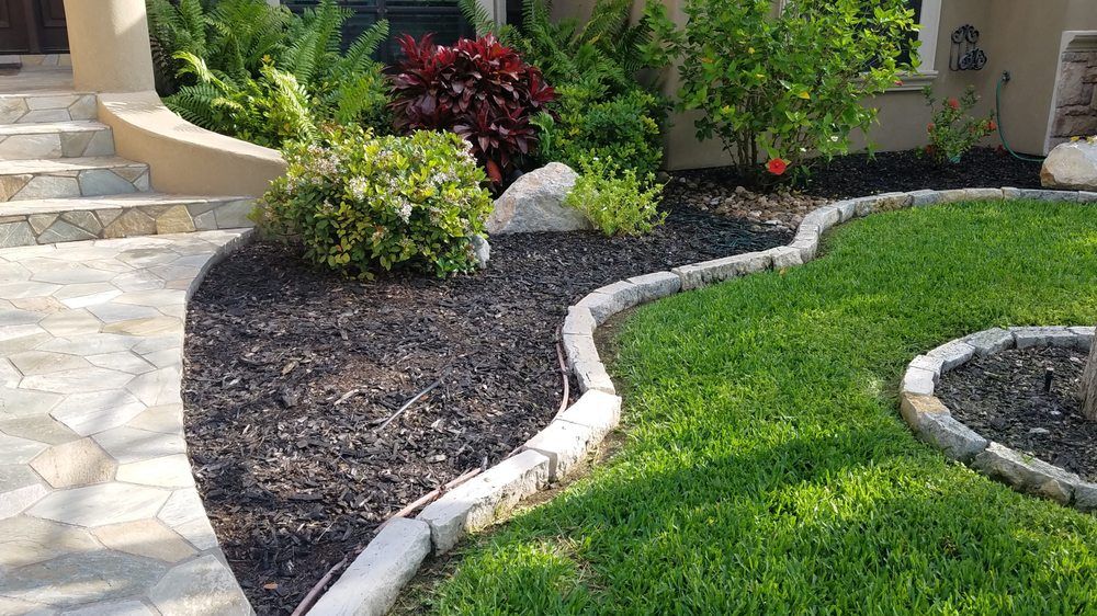 Tree & Shrub Care for Pro Lawn Care RGV in McAllen, TX