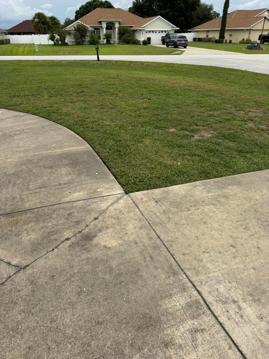Mowing for Young's Lawn Services LLC in Ocala, FL