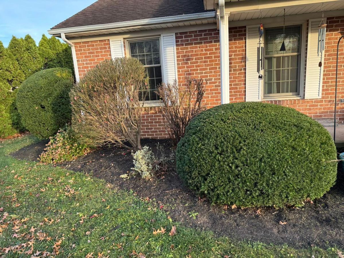 Shrub Trimming for Dunn-Rite Landscaping in New Oxford, PA