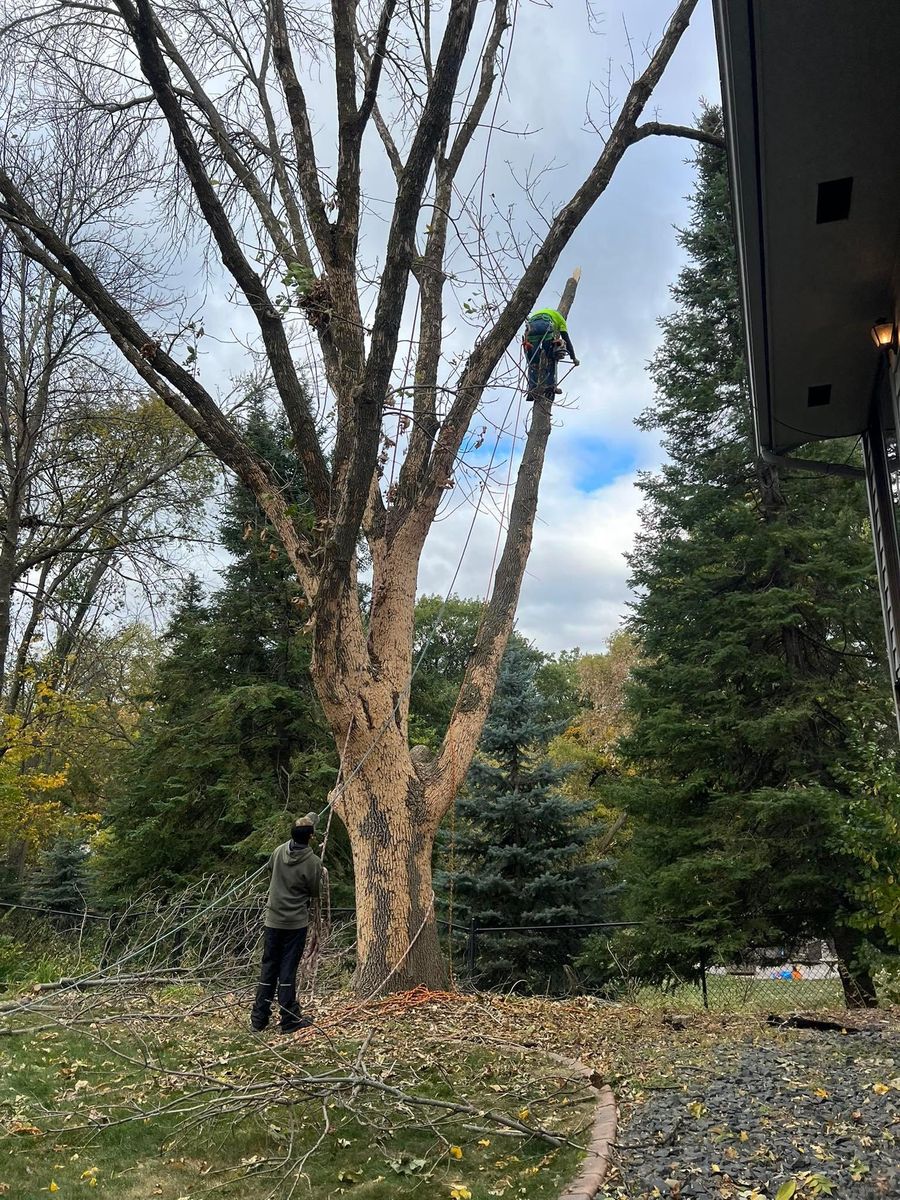 Seasonal Clean Up for Titan Landscaping in Rosemount, MN