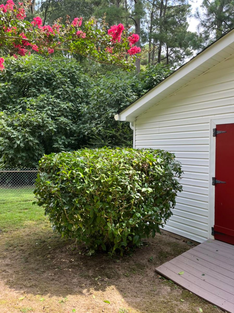 Shrub Trimming for Three Brothers Lawn & Landscaping LLC in Yorktown, VA